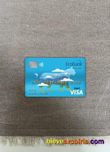 Central African republic ecobank visa debit card photolook
